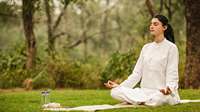Forest Meditation